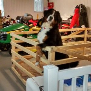 Meet your Posher, Louise